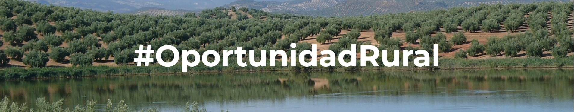 banner1